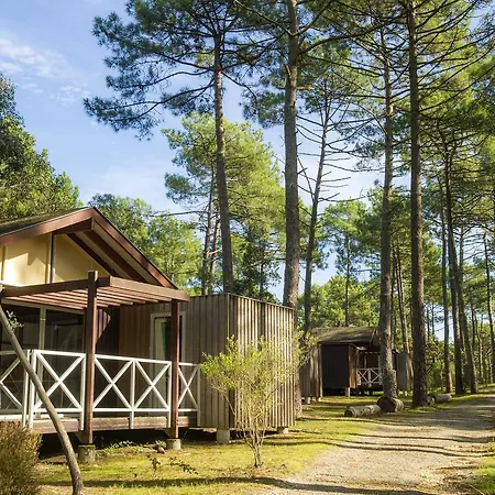 Hotel Les Oyats Sylvadoures à Maubuisson Extérieur photo