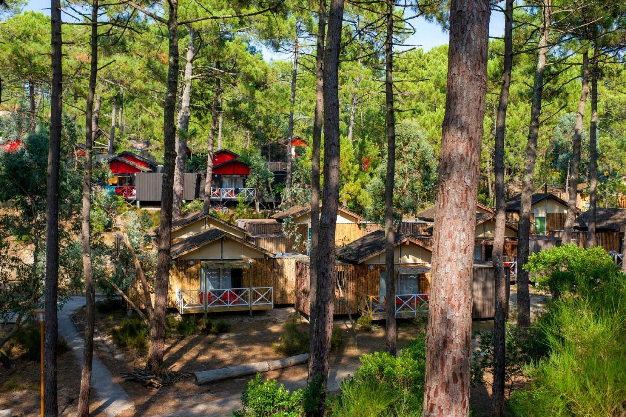 Vtf Les Oyats Sylvadoures Holiday park